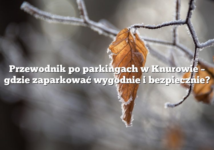 Przewodnik po parkingach w Knurowie – gdzie zaparkować wygodnie i bezpiecznie?