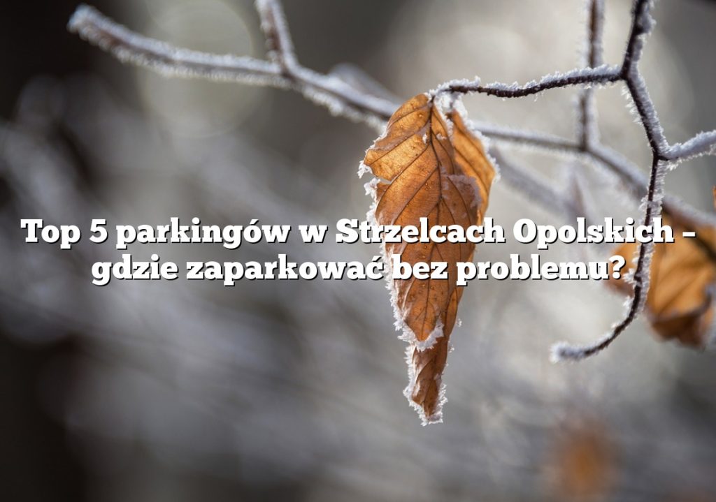 Top 5 parkingów w Strzelcach Opolskich – gdzie zaparkować bez problemu?