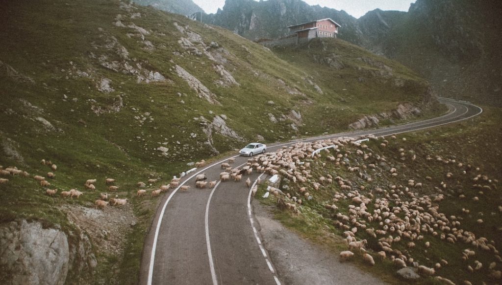 Autostradowy parking