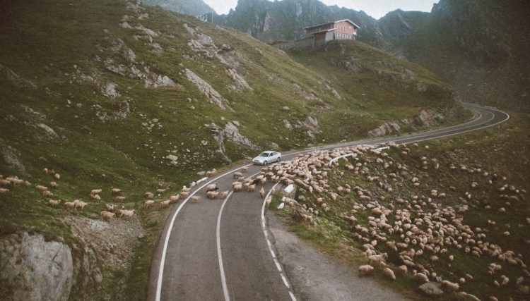 Autostradowy parking