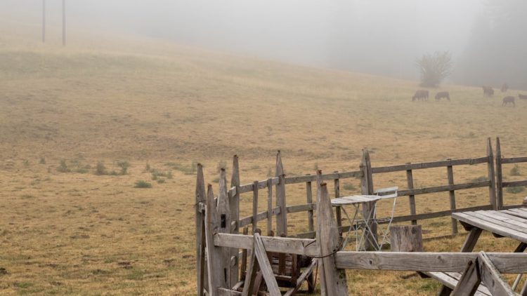 Zdjęcie Parkingu P+R Mały Płaszów w Krakowie