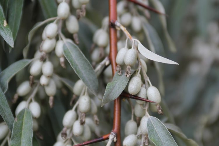 Serdeczni i gościnni mieszkańcy Mołdawii