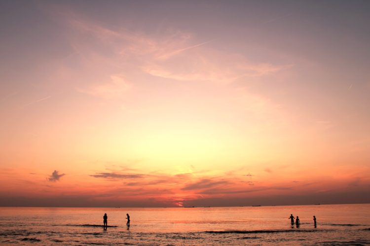 Piękna plaża w Holandii