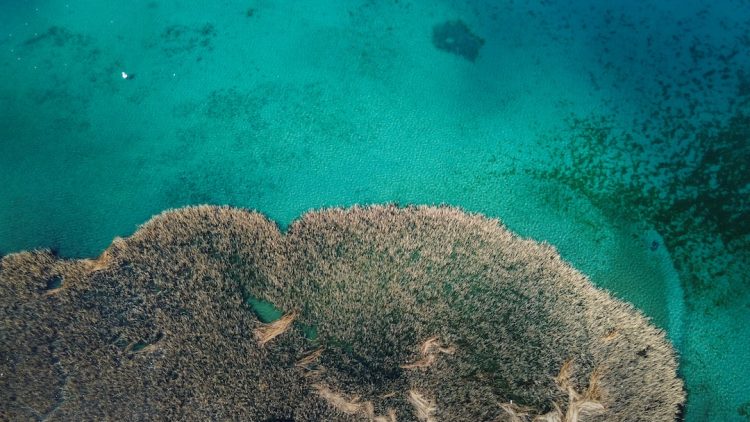 Tradycyjne dania kuchni macedońskiej
