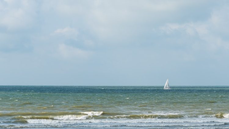 Parki narodowe i rezerwaty przyrody w Belgii