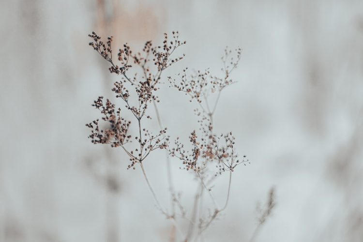 Miejsce parkingowe w Espoo