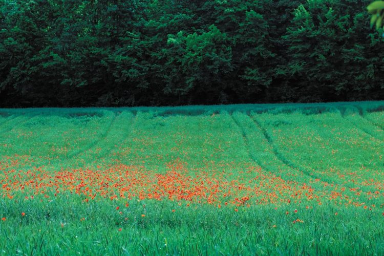 Najpiękniejsze miejsca w Luksemburgu