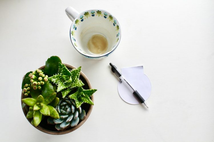 Wiedeńska kawa z przysmakami