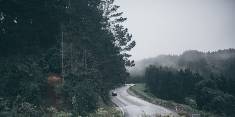 Strefa płatnego parkowania w Masterton, Nowa Zelandia