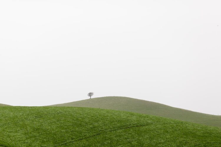 Ulice Notting Hill z ograniczoną przestrzenią parkingową