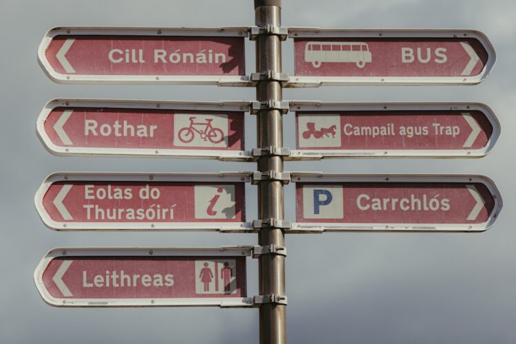 Parking dla busów w Rzeszowie